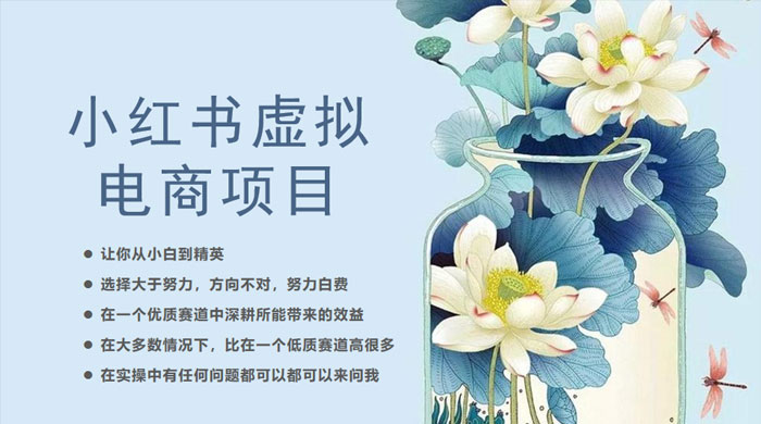 小红书虚拟电商从 0 到 1 ：让你从小白到精英（ 20 节实操课程） - 入巷拾玖