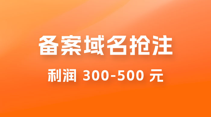 仅揭秘：备案域名抢注，一单利润 300-500 元，需求量大 - 入巷拾玖