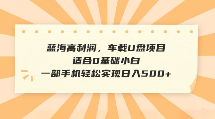 蓝海高利润，车载 U 盘项目，适合 0 基础小白 - 入巷拾玖