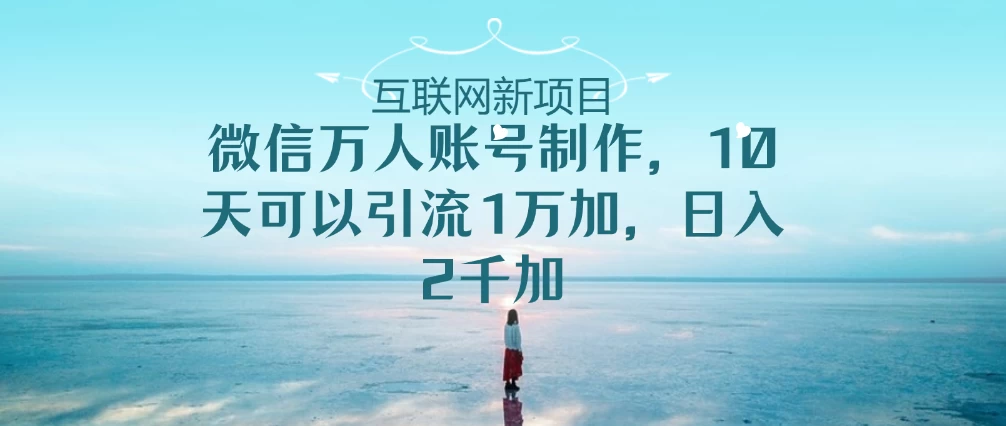 微信万人账号，10天可以引流1W+ 日入2千+ - 入巷拾玖