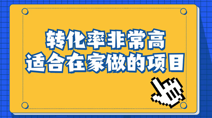 小红书虚拟电商项目：从小白到精英（视频课程+交付手册） - 入巷拾玖