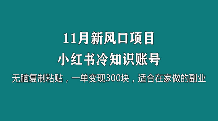 11 月新风口项目，小红书冷知识账号，无脑复制粘贴，一单变现 300 块，适合在家做的副业 - 入巷拾玖