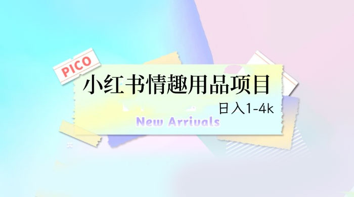 小红书情趣用品项目：详细教程，高转化收益快 - 入巷拾玖