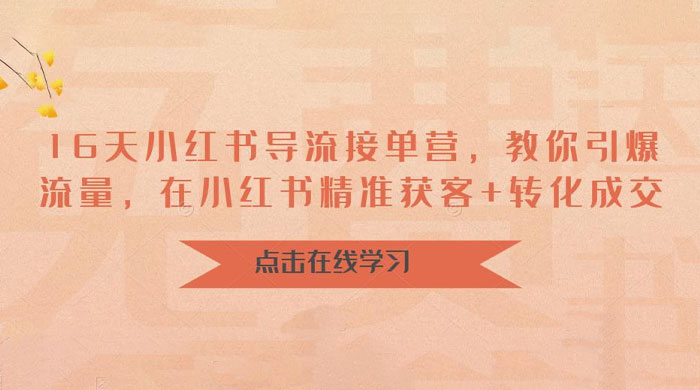 16 天小红书导流接单营：教你引爆流量，在小红书精准获客+转化成交 - 入巷拾玖