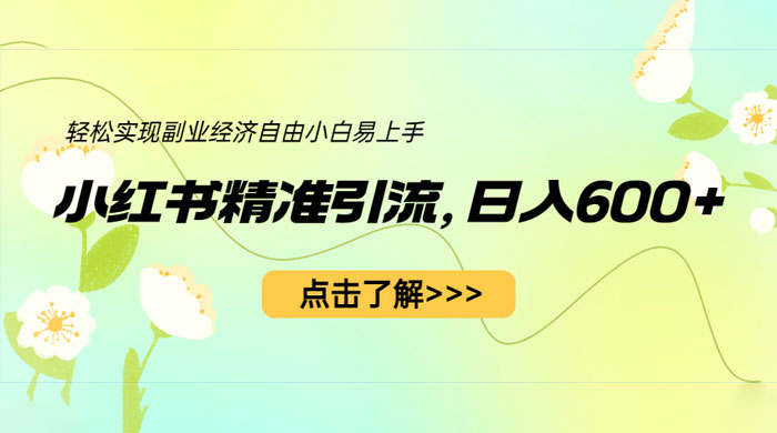 小红书精准引流：轻松实现副业经济自由（教程 + 1153G 资源） - 入巷拾玖