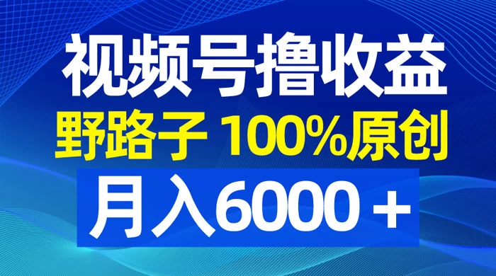 视频号野路子撸收益，100% 原创，条条爆款，月入 6000+ - 入巷拾玖
