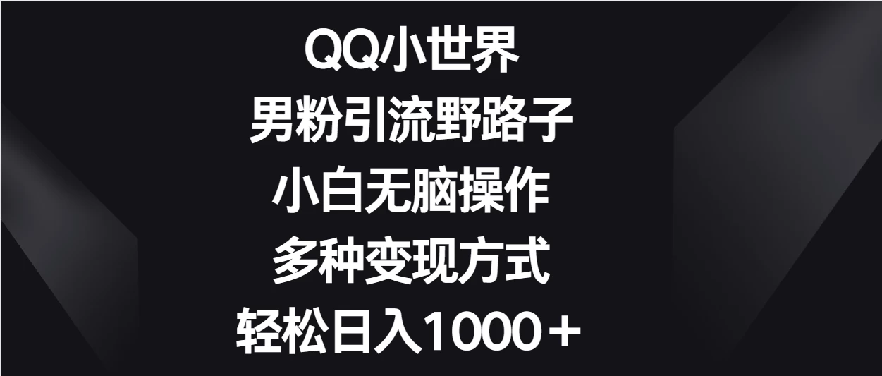 QQ小世界男粉引流野路子，小白无脑操作，多种变现方式轻松日入1000＋ - 入巷拾玖