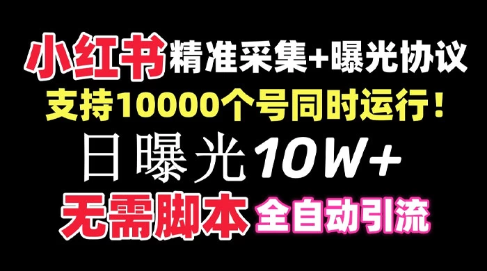 价值 10 万的小红书全自动采集+引流协议一体版！无需手机，支持 10000 个账号同时运行 - 入巷拾玖