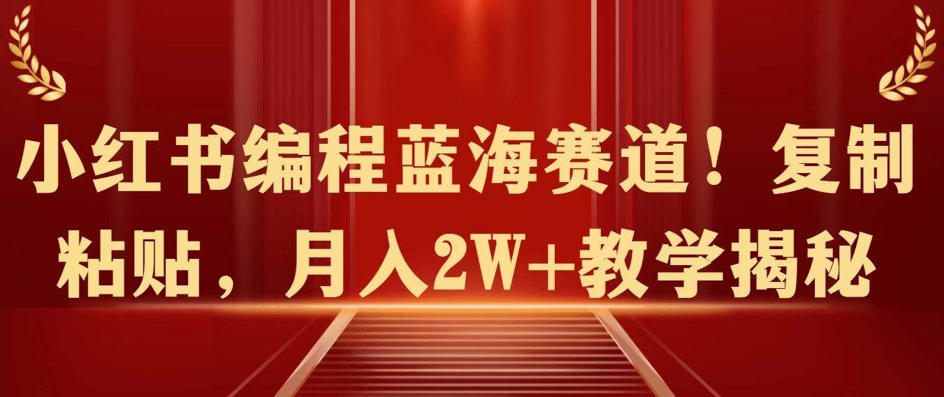小红书编程蓝海赛道！复制粘贴，月入2W+教学揭秘 - 入巷拾玖