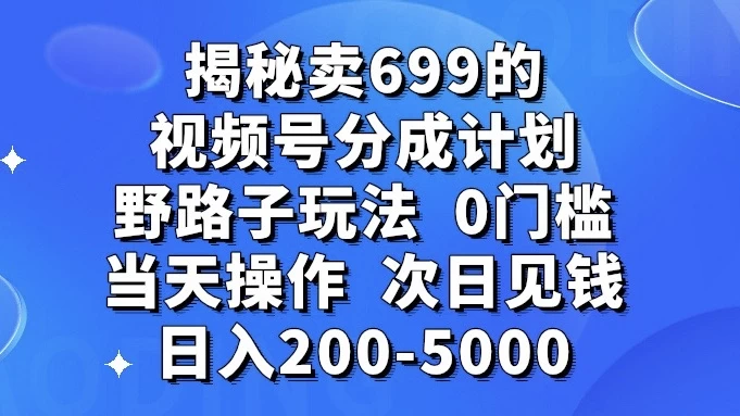 揭秘卖 699 的视频号分成计划野路子玩法，日入 200-5000，0 门槛，当天操作，次日见钱 - 入巷拾玖