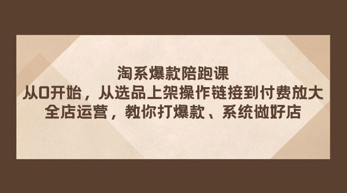 淘系爆款陪跑课：从选品上架操作链接到付费放大、全店运营、打爆款、系统做好店 - 入巷拾玖