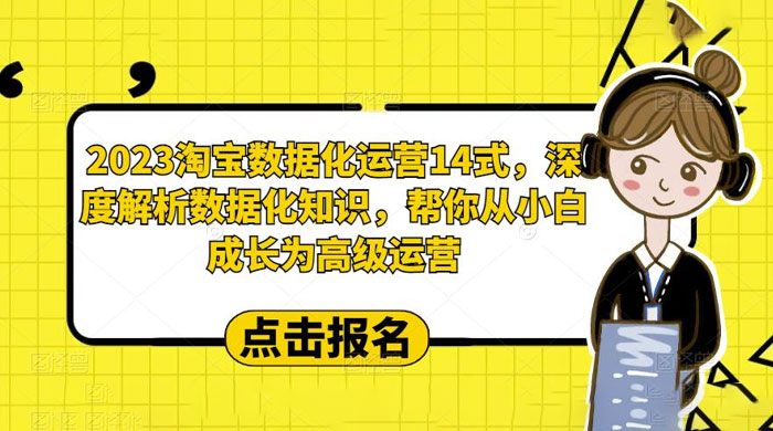 2023 淘宝数据化运营 14 式：深度解析数据化知识，帮你从小白成长为高级运营 - 入巷拾玖