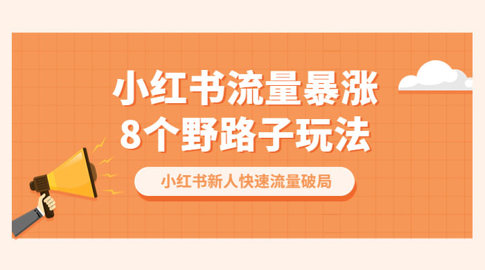 小红书流量暴涨 8 个野路子玩法：小红书新人快速流量破局（ 8 节课） - 入巷拾玖