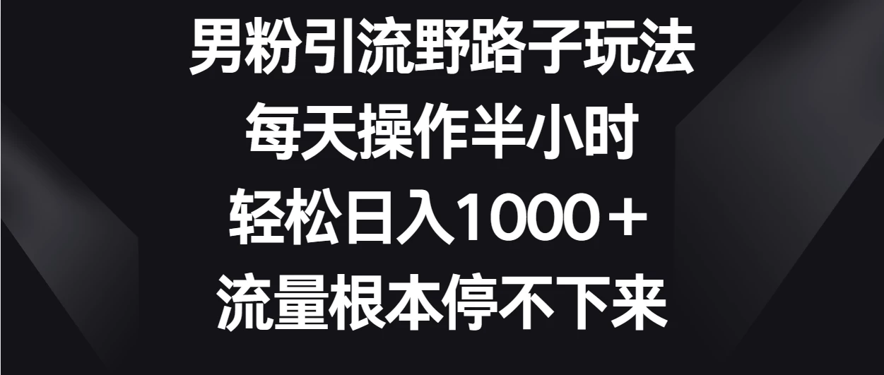男粉引流野路子玩法，每天操作半小时轻松日入1000＋，流量根本停不下来 - 入巷拾玖