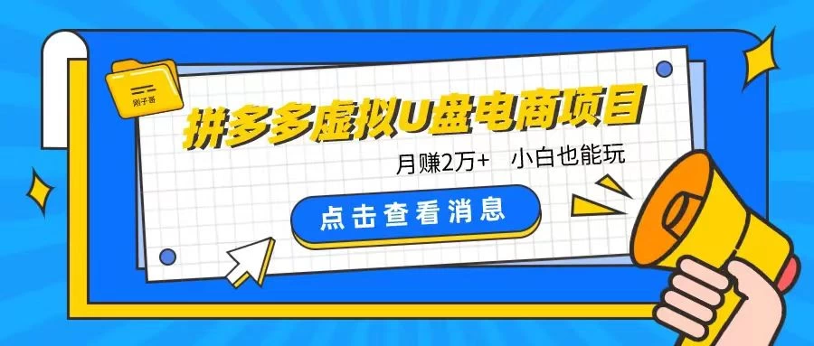 拼多多虚拟U盘电商红利项目：月赚2万+，新手小白也能玩 - 入巷拾玖