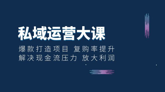 私域运营大课：爆款打造项目，复购率提升，解决现金流压力，放大利润 - 入巷拾玖