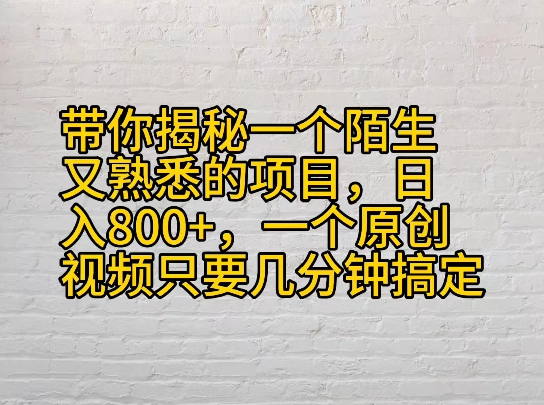 带你揭秘一个陌生又熟悉的项目，日入800+，一个原创视频只要几分钟搞定 - 入巷拾玖