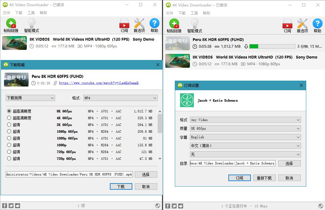 4K Video Downloader v4.19.4 Build 4720 - 入巷拾玖