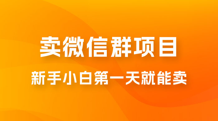 最新卖微信群项目玩法拆解：新手小白第一天就能卖，日入 300+ - 入巷拾玖