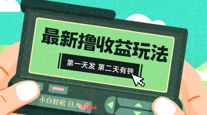 2024 最新撸视频收益玩法，第一天发，第二天就有钱 - 入巷拾玖