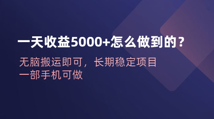 一天收益 5000+ 怎么做到的？无脑搬运即可，长期稳定项目，一部手机可做 - 入巷拾玖