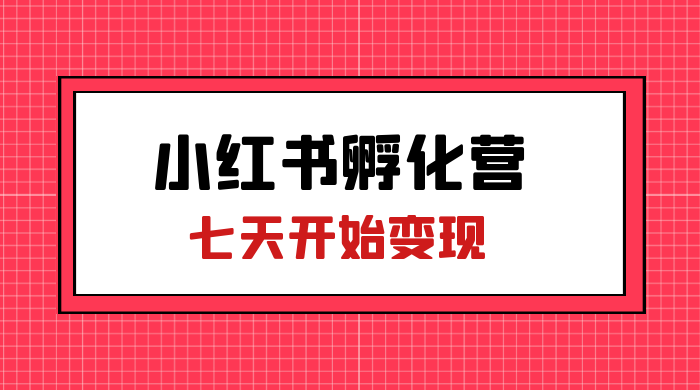 价值 2000+ 的小红书孵化营项目，超级大蓝海，七天即可开始变现，稳定月入 1W+ - 入巷拾玖