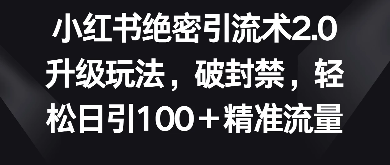 小红书绝密引流术2.0升级玩法，破封禁，轻松日引100＋精准流量 - 入巷拾玖