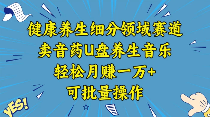 健康养生细分领域赛道，卖音药U盘养生音乐，轻松月赚一万+，可批量操作 - 入巷拾玖