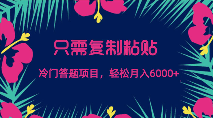 只需复制粘贴，冷门答题项目，轻松月入 6000 - 入巷拾玖
