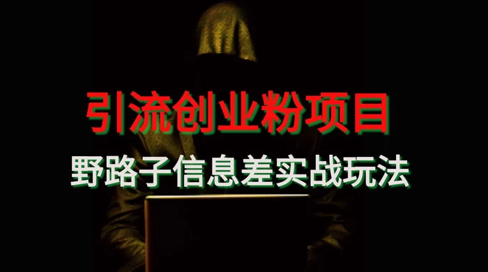 野路子信息差玩法实战教学，引流创业粉 - 入巷拾玖