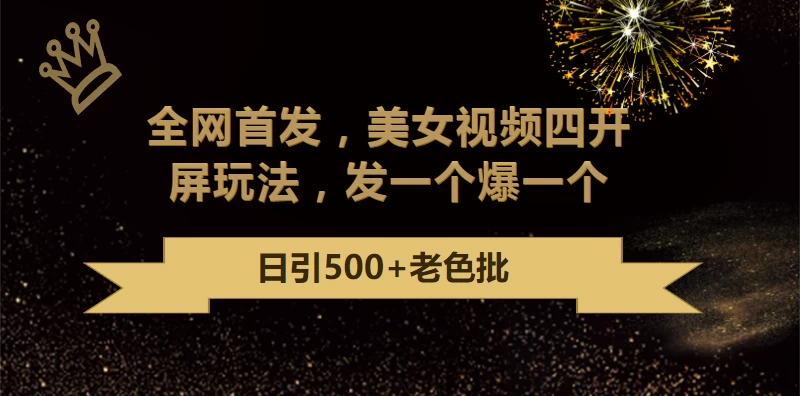 最新成人引流玩法，美女视频四开屏玩法，发一个爆一个，日引流500+精准 - 入巷拾玖