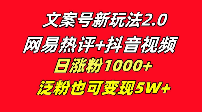 文案号新玩法，网易热评+抖音文案 一周轻松涨粉 5W+ 多种变现模式 - 入巷拾玖