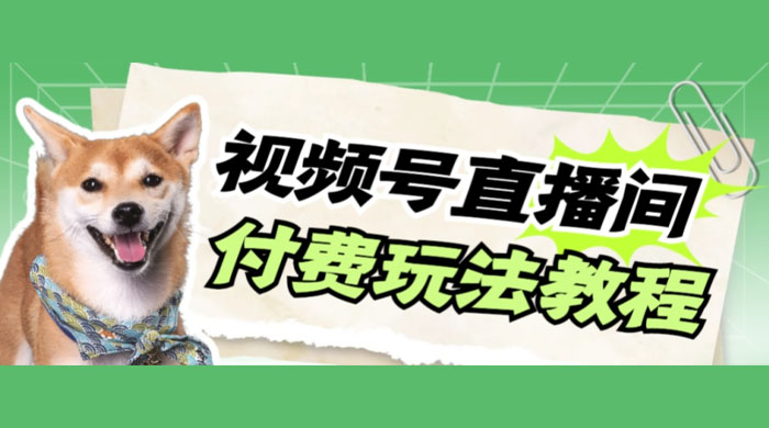视频号美女付费无人直播，轻松日入500+（详细玩法教程） - 入巷拾玖