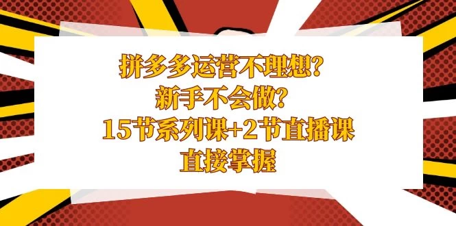 拼多多运营不理想？新手不会做？​15 节系列课+ 2 节直播课，直接掌握 - 入巷拾玖