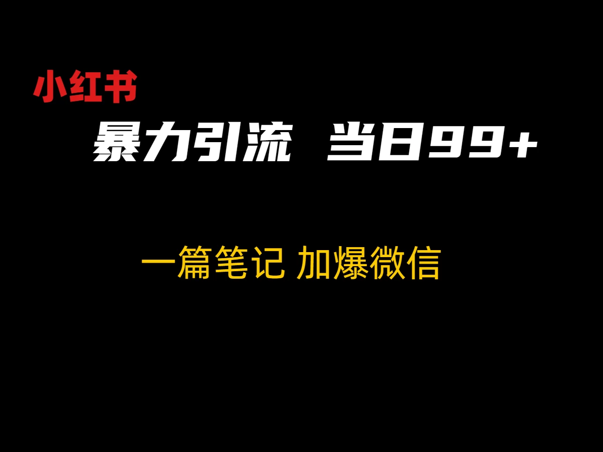 小红书暴力引流方法，当日99+，非常简单的引流方法 - 入巷拾玖
