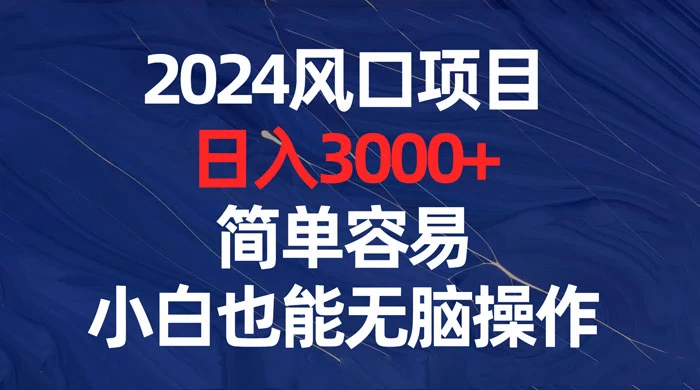 2024 风口项目，日入 3000+，简单容易，小白也能无脑操作 - 入巷拾玖