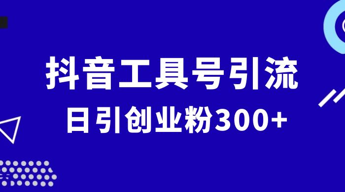 抖音工具号引流玩法，日引创业粉 300+ - 入巷拾玖