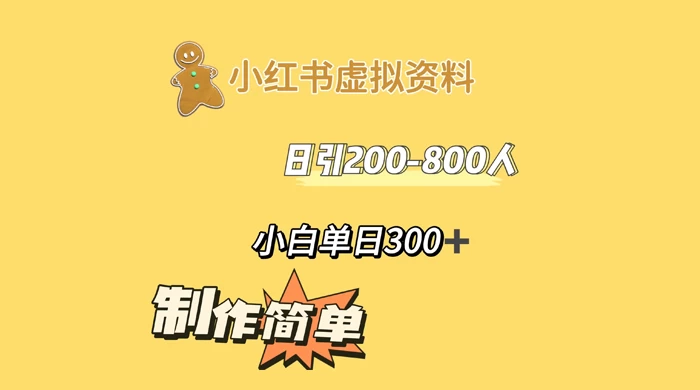 小红书虚拟资料日引 200-800 人，小白单日收益 300+ - 入巷拾玖