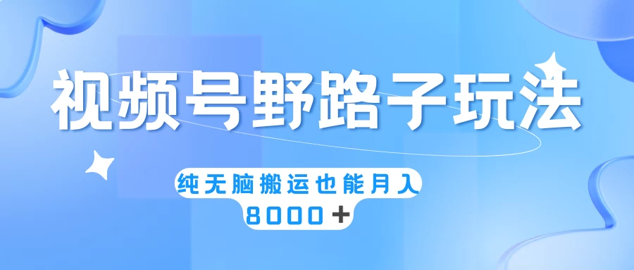 视频号野路子玩法，纯无脑搬运小白可做，月入8000+ - 入巷拾玖