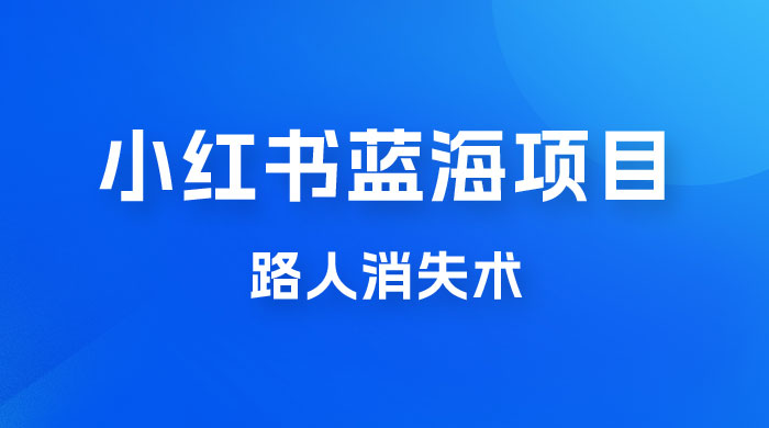 小红书蓝海项目，路人消失术，实测一天 300+ - 入巷拾玖