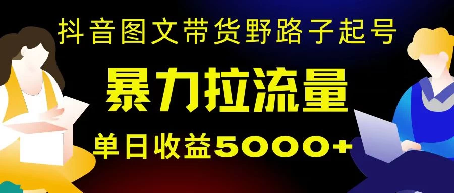 抖音图文带货暴力起号，单日收益 5000+，野路子玩法，简单易上手，一部手机即可 - 入巷拾玖
