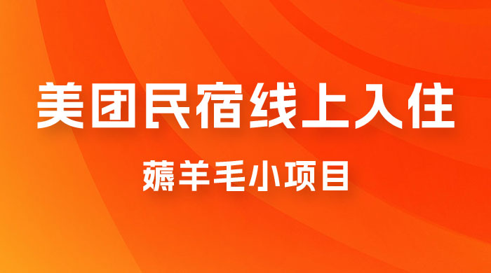 美团民宿线上入住，最新薅羊毛小项目，可以单号日入 50+ - 入巷拾玖