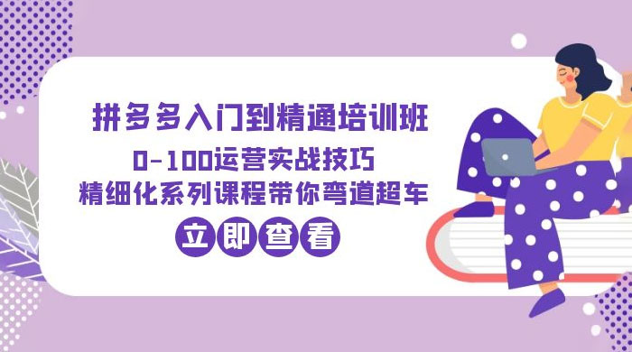 2023 拼多多入门到精通培训班： 运营实战技巧 精细化系列课带你弯道超车 - 入巷拾玖