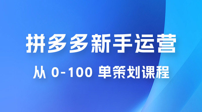 拼多多新手运营从 0-100 单策划课程，从零起步到爆单详细教程 - 入巷拾玖
