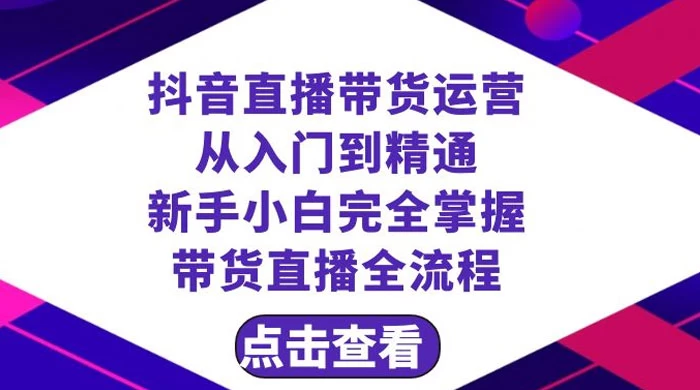 抖音直播带货，运营从入门到精通，新手完全掌握带货直播全流程（共 23 节） - 入巷拾玖