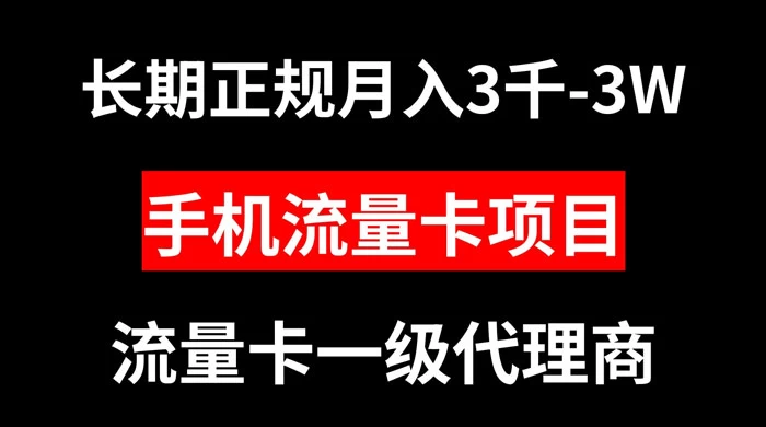 手机流量卡代理月入 3000-3w 长期正规项目 - 入巷拾玖