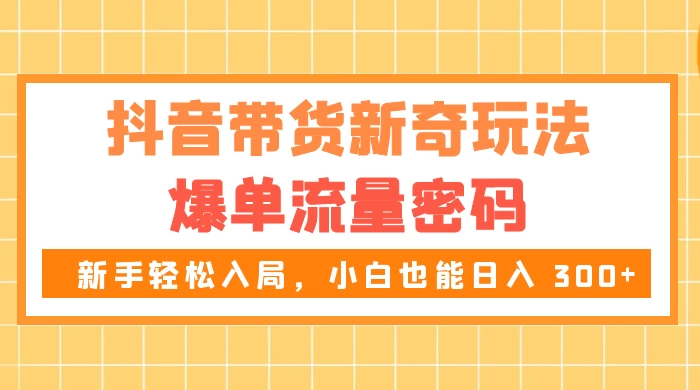 抖音带货新奇玩法，爆单流量密码，新手轻松入局，小白也能日入 300+ - 入巷拾玖