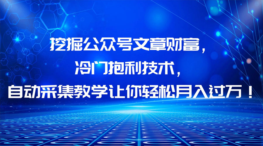 挖掘公众号文章财富，冷门掘金项目 - 入巷拾玖