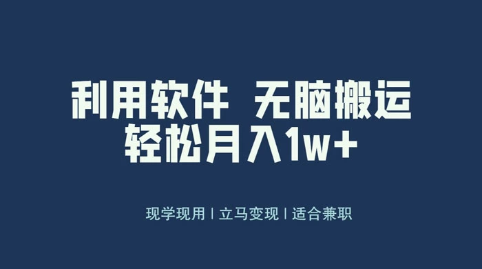最新蓝海独家玩法，利用软件无脑搬运，小白轻松日入1000＋ - 入巷拾玖