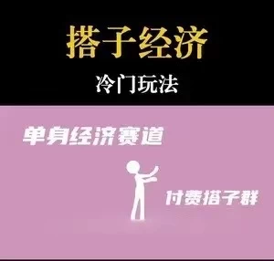 靠搭子经济月入5万每天两小时简单无脑好上手 - 入巷拾玖